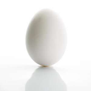 FRESH BUALI EGGS / PC